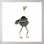 Oliver Ostrich posters