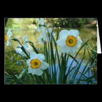 Oliver's Orchard cards by celtxian Oliver's Orchard cards