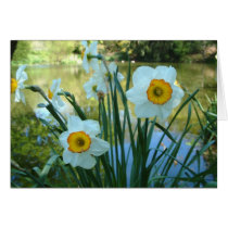Oliver's Orchard cards by celtxian Oliver's Orchard cards