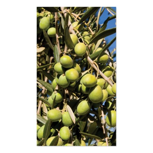 Olives business card (front side)