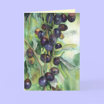 olives galare cards