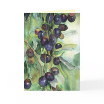 olives galare cards by barbaramarion olives galare cards