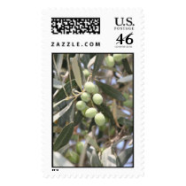 Olives in Rome postage by pattirm1 Olives in Rome postage