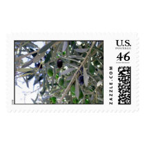 olives postage by ZoneWombat olives postage