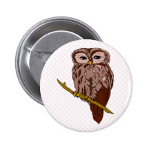 Olivia Owl Pins