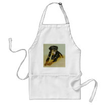 Ollie aprons
