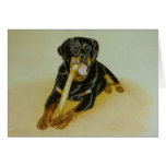 Ollie Greeting Cards