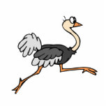 Ollie Ostrich Photo Sculpture