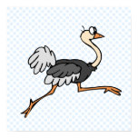 Ollie Ostrich