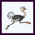Ollie Ostrich