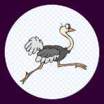 Ollie Ostrich