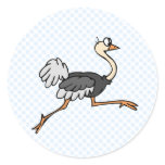 Ollie Ostrich