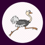 Ollie Ostrich