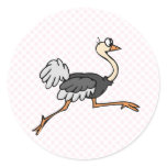 Ollie Ostrich