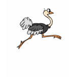 Ollie Ostrich