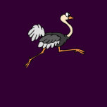 Ollie Ostrich