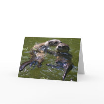 Olly Jolly Otters cards by alexmarie Olly Jolly Otters cards