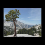 Olmstead Point I Postcard