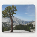 Olmsted Point I Mousepad