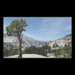 Olmsted Point Sticker