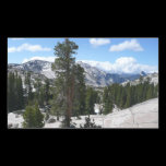 Olmsted Point Sticker