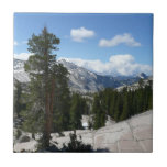 Olmsted Point Tile