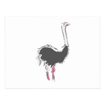 Olympia Ostrich Post Cards