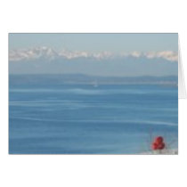 olympic and what? cards by SeattleImagery olympic and what? cards