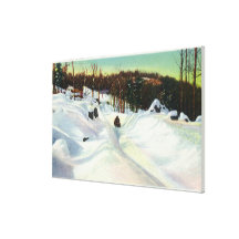 Olympic Bobsled Run View on Mt. Van Hoevenberg Canvas Print