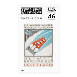 Olympic Fun Lake Placid 1936 WPA Stamps