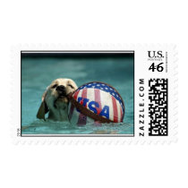 Olympic Hopeful Postage Stamps