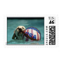 Olympic Hopeful postage by 4labradors Olympic Hopeful postage