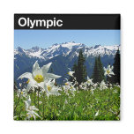 Olympic National Park Magnets