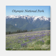 Olympic National Park Magnet