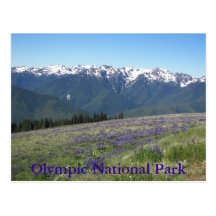 Olympic National Park Postcard