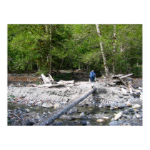 Olympic National Park posters by ebroskie1234 Olympic National Park posters