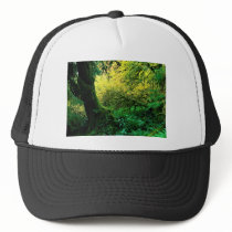 Olympic National Park, Washington Mesh Hat