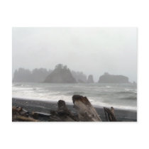 Olympic Peninsula Sea Stacks Postcard by hopefulone Olympic Peninsula Sea Stacks Postcard