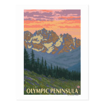 Olympic Peninsula, WashingtonSpring Flowers Post Card