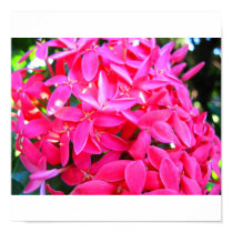 Om Flowers posters