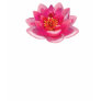OM Lotus reverse Shirt