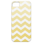 Ombre Chevron iPhone5 Casemate Case iPhone 5 Cover