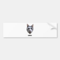 OMG CAT! (what has he seen?) bumper stickers