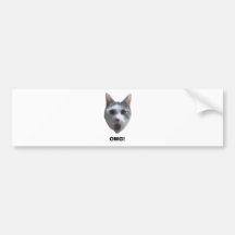 OMG CAT! (what has he seen?) Bumper Stickers