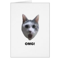 OMG CAT! (what has he seen?) cards