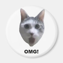 OMG CAT! (what has he seen?) magnets