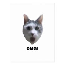 OMG CAT! (what has he seen?) postcards
