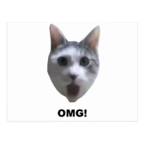 OMG CAT! (what has he seen?) postcards