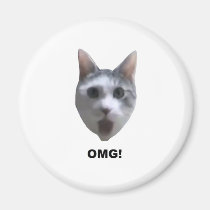 OMG CAT! (what has he seen?) magnets