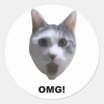 OMG CAT! (what has he seen?) stickers